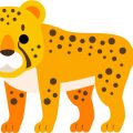 【動物占い】チータータイプの特徴・性格・運勢・相性