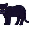 【動物占い】気取らない黒ヒョウ(ブラック)の性格や相性について