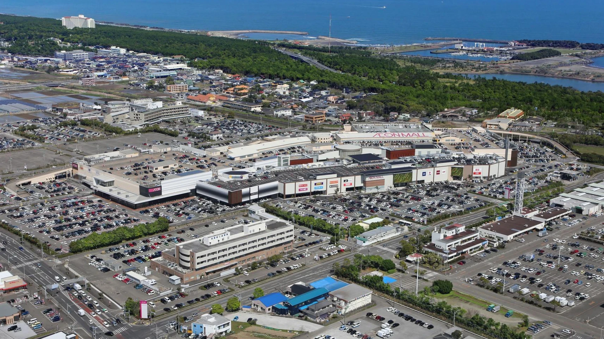 我が道を行くライオン(イエロー)の性格や相性について