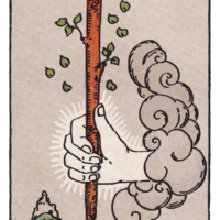 ワンドのエース(Ace of Wands)