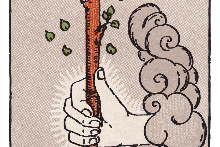 ワンドのエース（Ace of Wands）