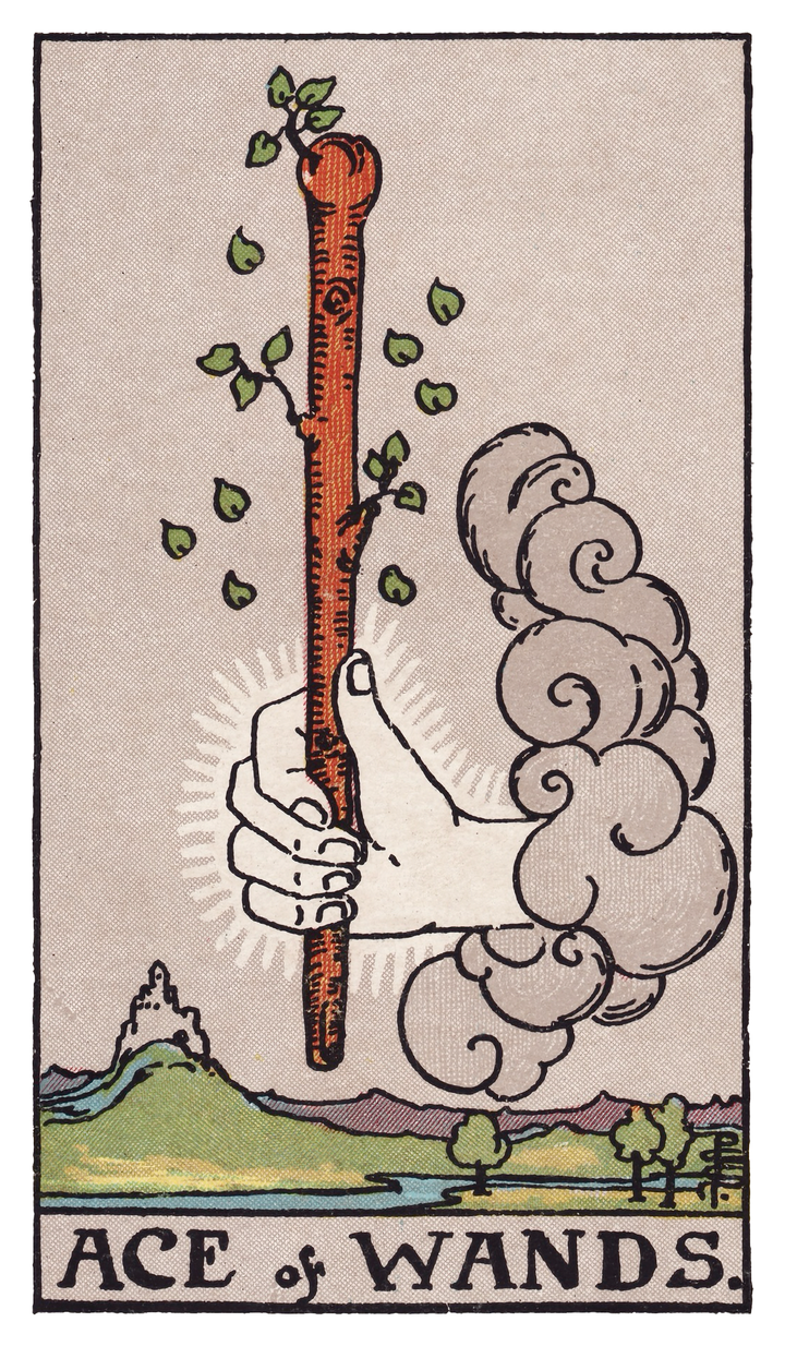 ワンドのエース（Ace of Wands）タロットカード
