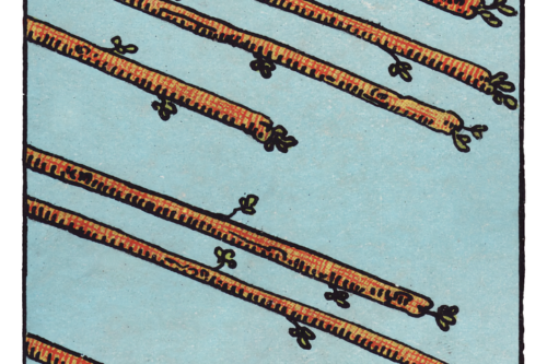 ワンドの8(Eight of Wands)