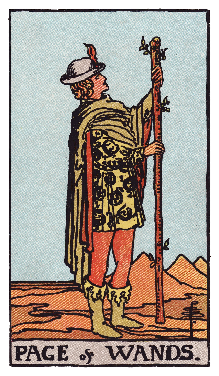 ワンドのペイジ(Page of Wands)タロットカード