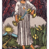 【大アルカナ14番】節制(Temperance)の意味|正位置・逆位置